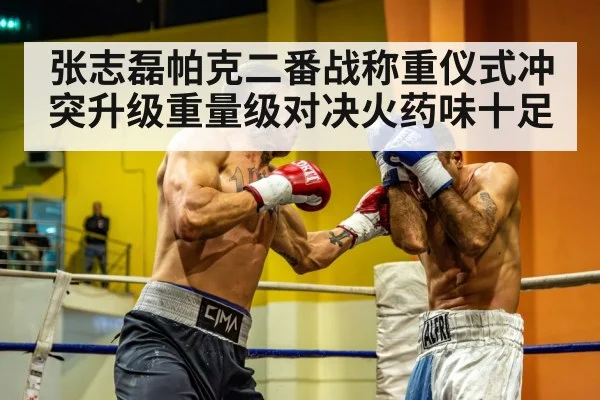 heavyweight boxing match